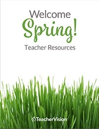 spring packet