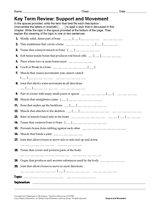 Science Key Term Review: Support and Movement